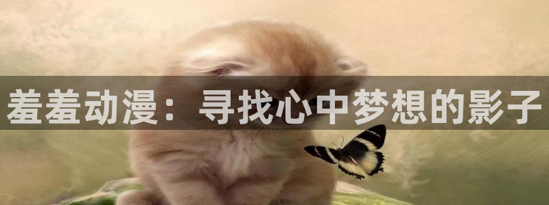 里番动画大全