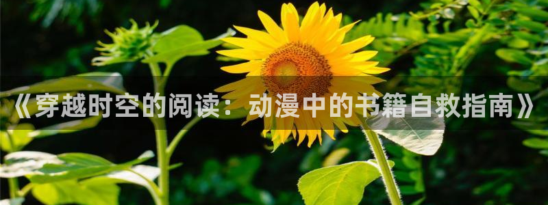 动漫里番去哪看