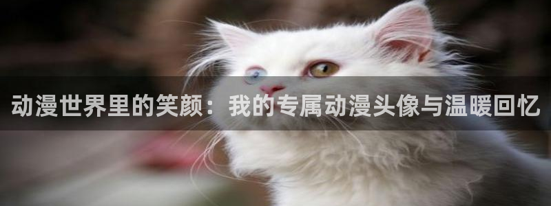 里番动漫黑兽