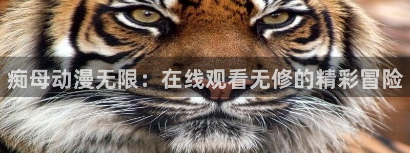 对魔忍里番漫画