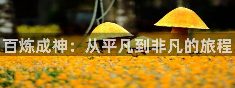 穿越里番动漫：百炼成神：从平凡到非凡的旅程