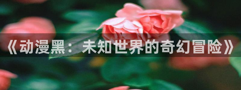 日本动漫旧里番
