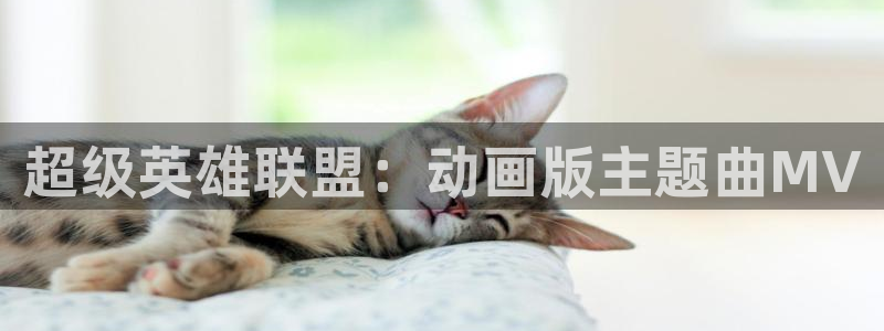 里番动漫应用