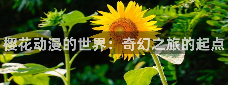 3d 里番动漫在线观看