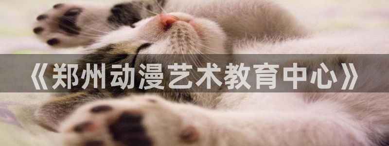 3d里番动漫免费
