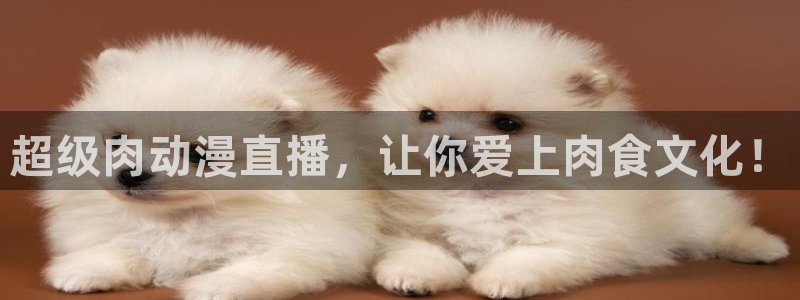《里番动漫