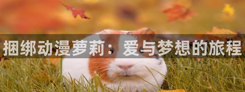 2025最新里番动漫