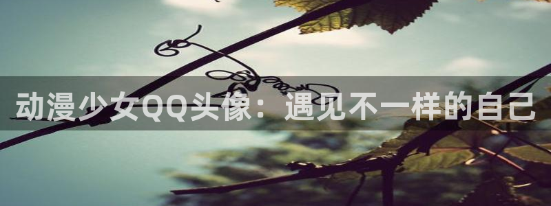 日本里番动画片