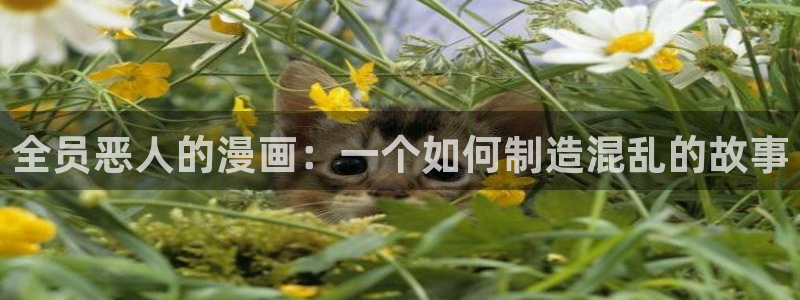 里番动漫高清