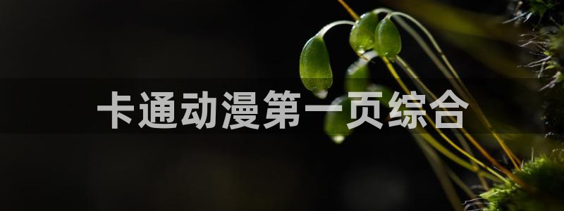 3d动漫里番在线