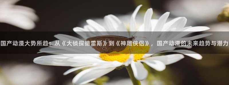里番免费动漫：国产动漫大势所趋：从《大侦探德雷斯》到《神雕侠侣》，国产动漫的未来趋势与潜力