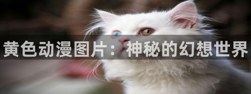 有妖气漫画里番：黄色动漫图片：神秘的幻想世界