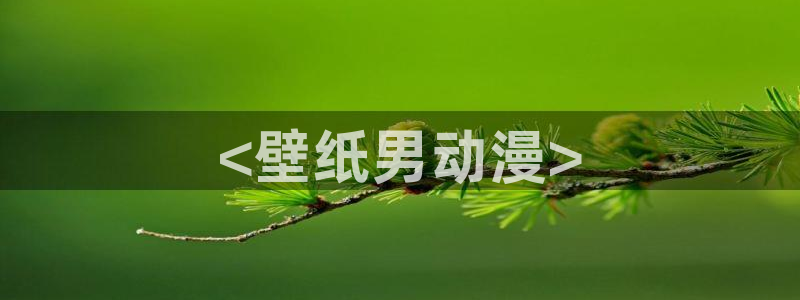 里番动漫网在线观看：<壁纸男动漫>