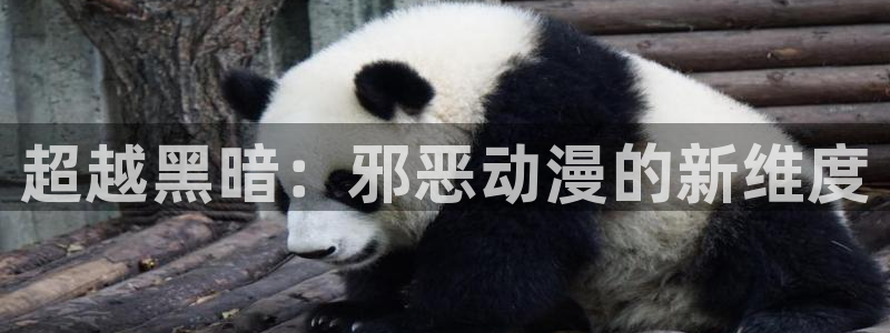 里里番番：超越黑暗：邪恶动漫的新维度