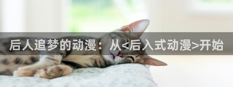 里番嗨动漫：后人追梦的动漫：从<后入式动漫>开始
