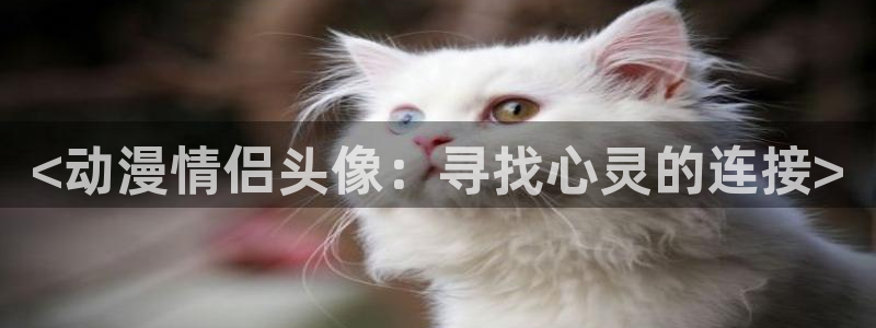 动漫资源里番：<动漫情侣头像：寻找心灵的连接>