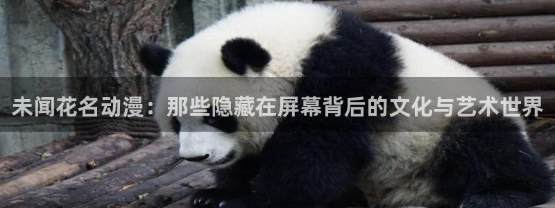 里番图片：未闻花名动漫：那些隐藏在屏幕背后的文化与艺术世界