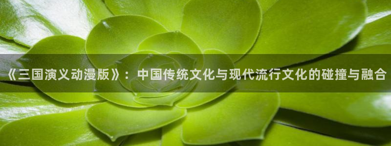 里番剧动漫：《三国演义动漫版》：中国传统文化与现代流行文化的碰撞与融合