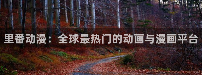 里番成人动漫在线观看