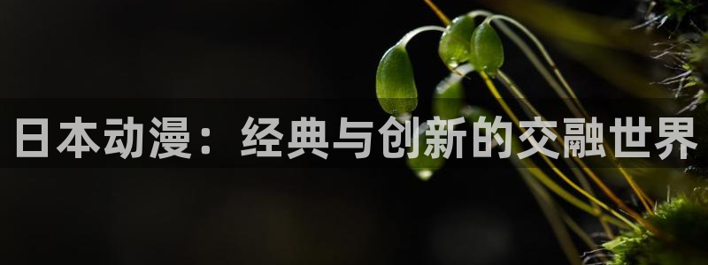 里番动漫都有哪些