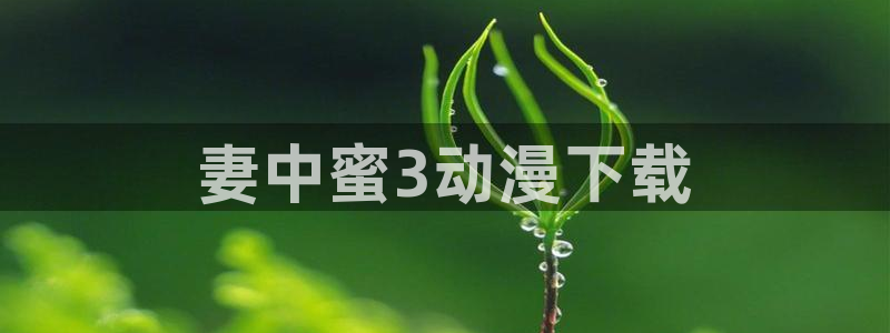 里番动漫无删减