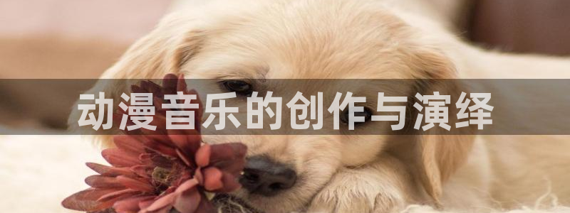 里番 动画