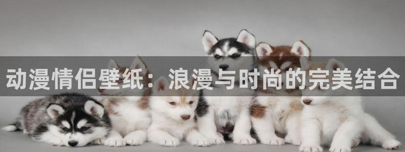 动漫里番网址
